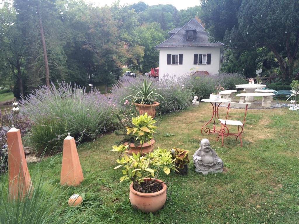 Traumparadies Bad Sulza Kültér fotó