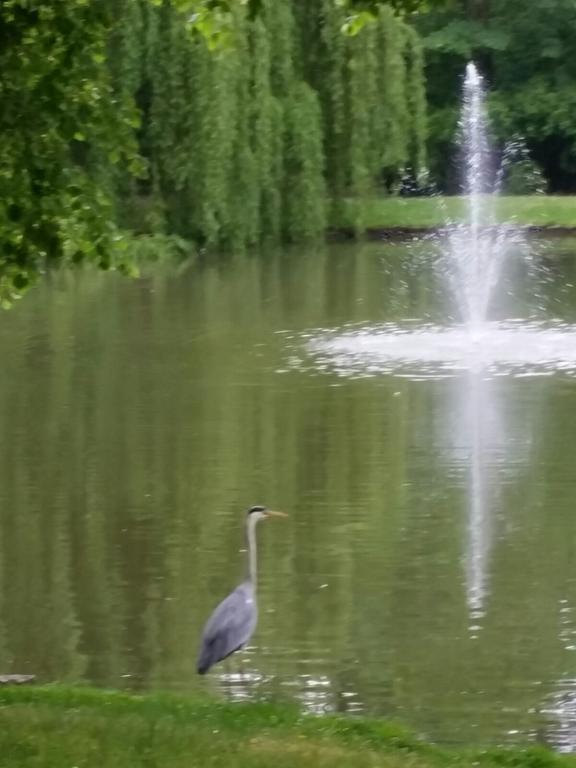 Traumparadies Bad Sulza Kültér fotó